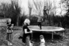 Children on a Trampoline, Netterbury