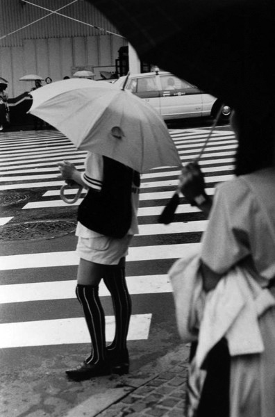 Girls and Umbrellas, Shijuga